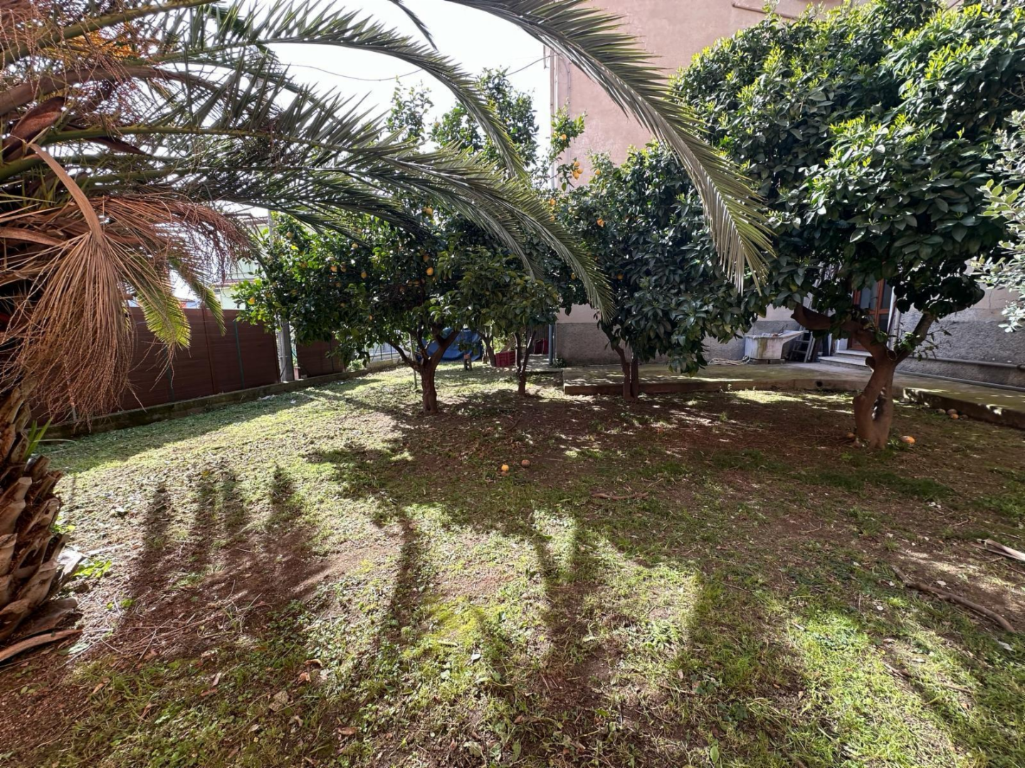 immagine annuncio 0 di 10