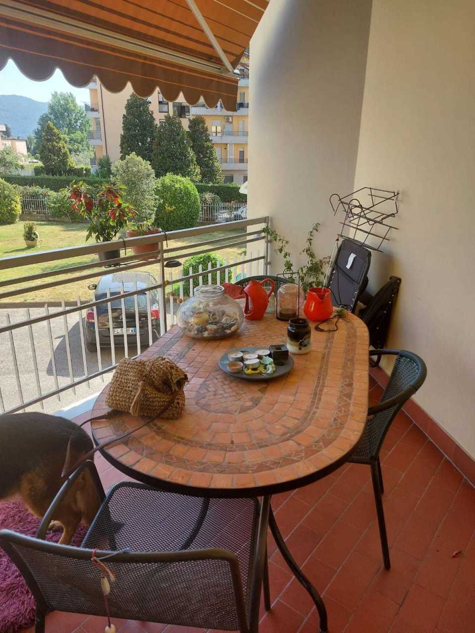immagine annuncio 2 di 10