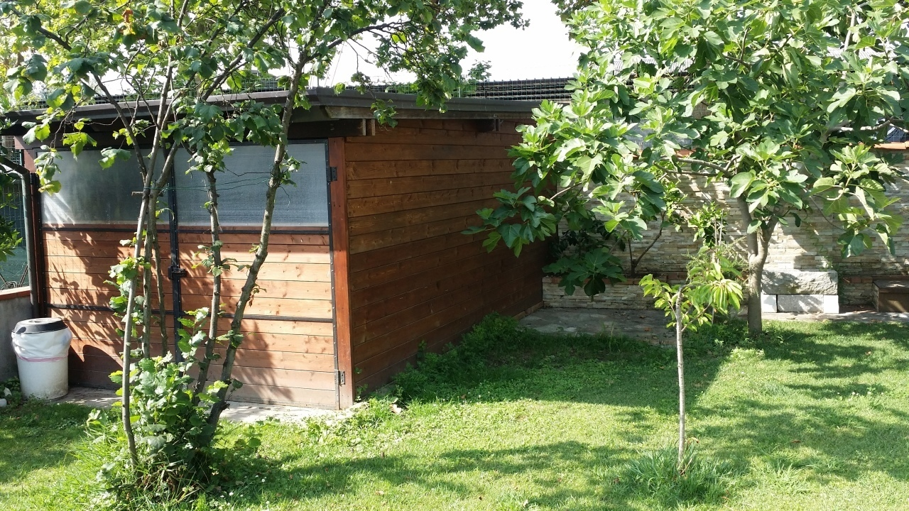 immagine annuncio 7 di 10