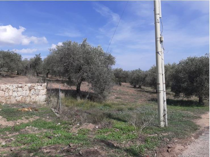 immagine annuncio 8 di 10