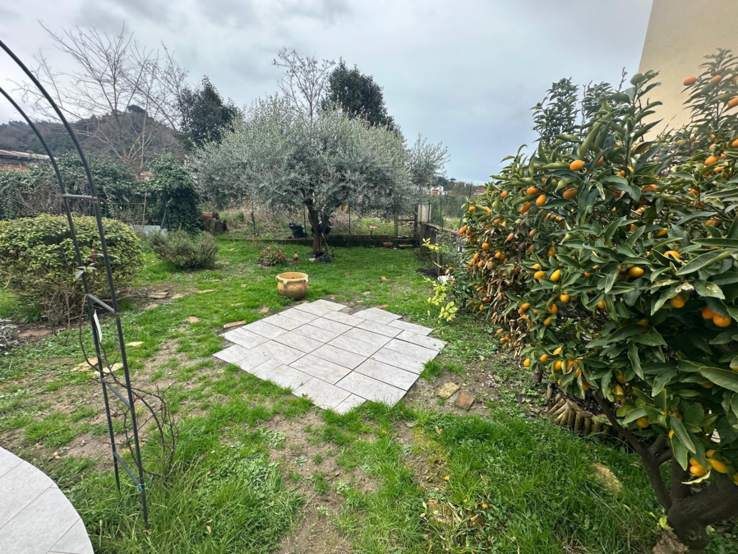 immagine annuncio 1 di 10