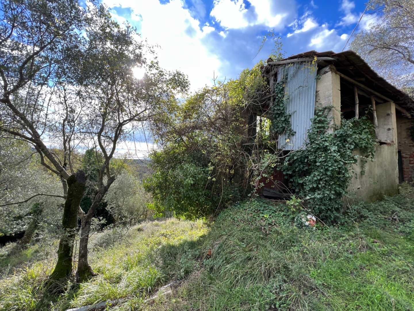 immagine annuncio 5 di 10