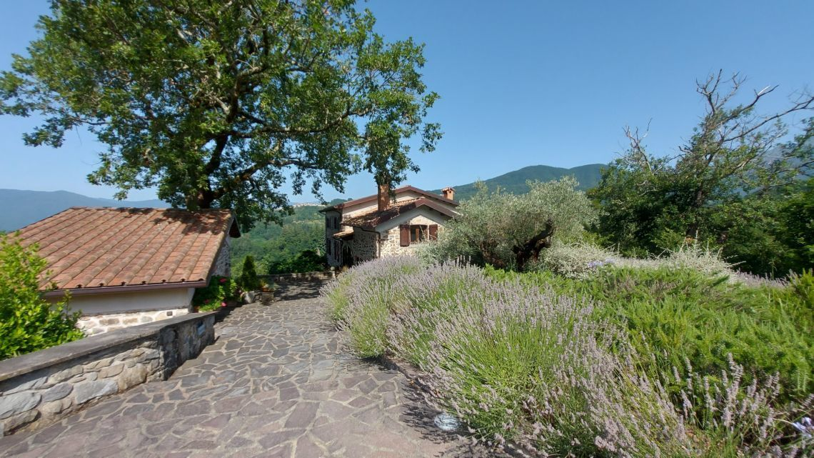 immagine annuncio 3 di 10