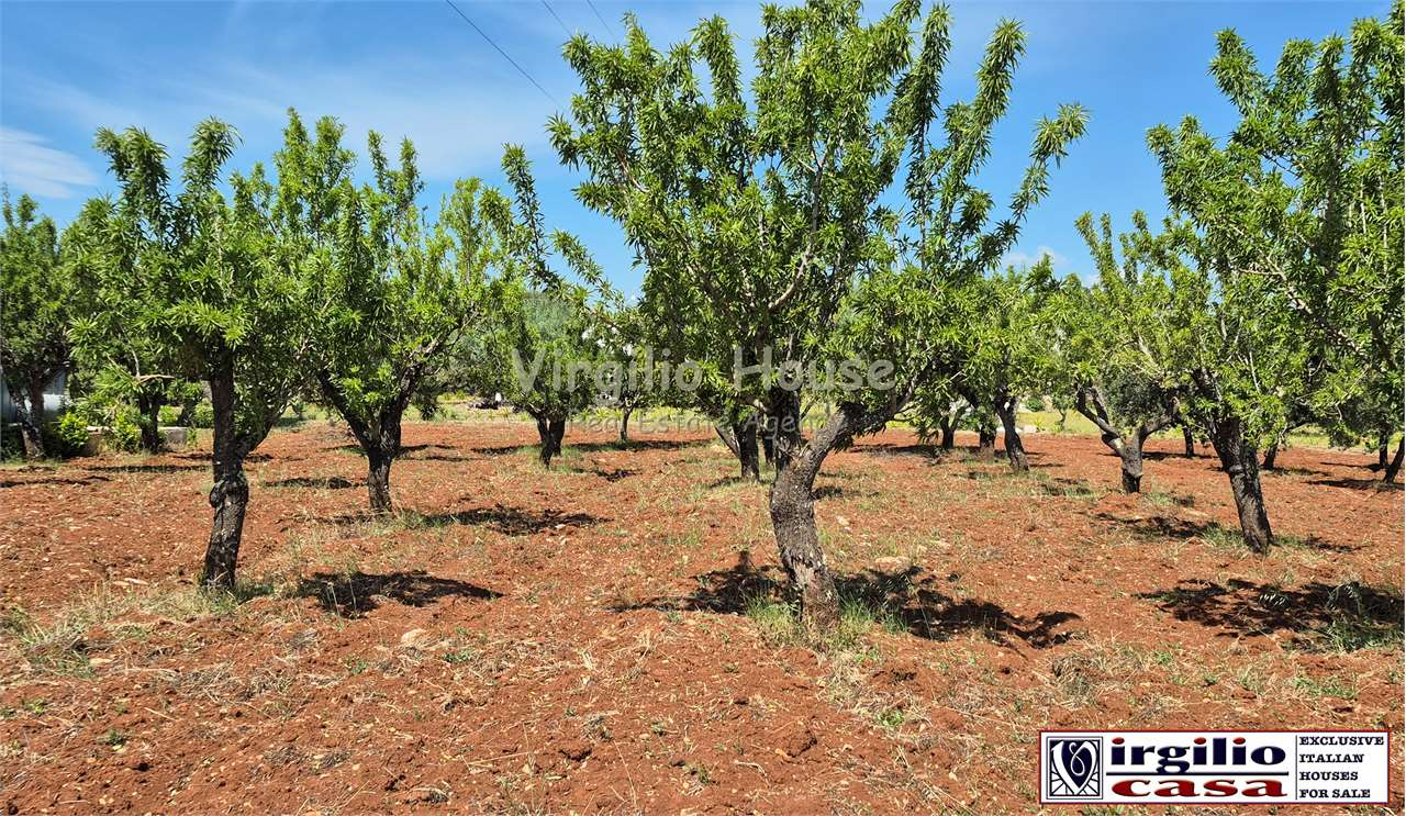 immagine annuncio 3 di 10