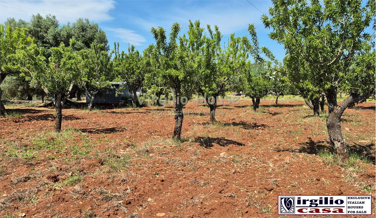 immagine annuncio 4 di 10