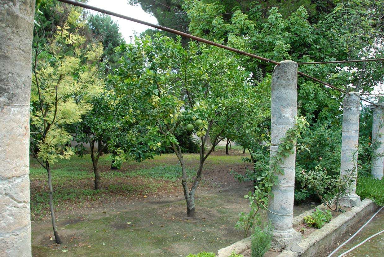 immagine annuncio 6 di 10