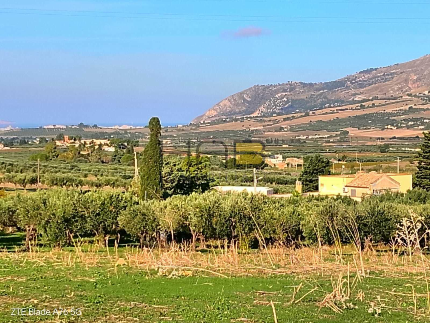 immagine annuncio 1 di 4