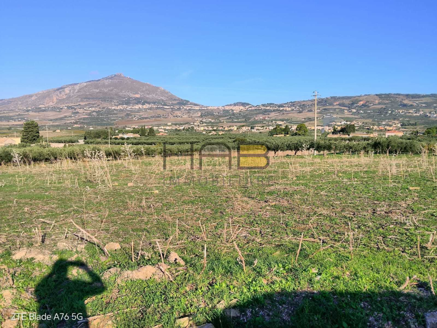 immagine annuncio 3 di 4