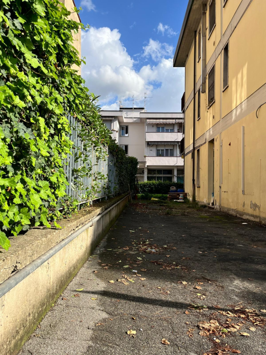 immagine annuncio 6 di 10