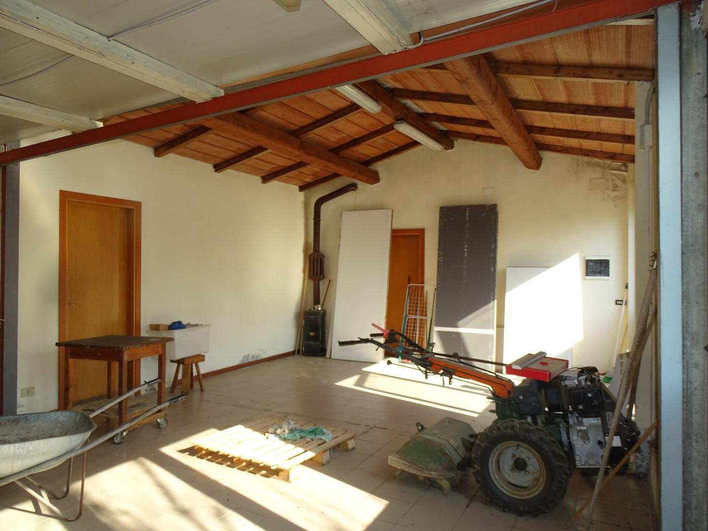 immagine annuncio 3 di 6