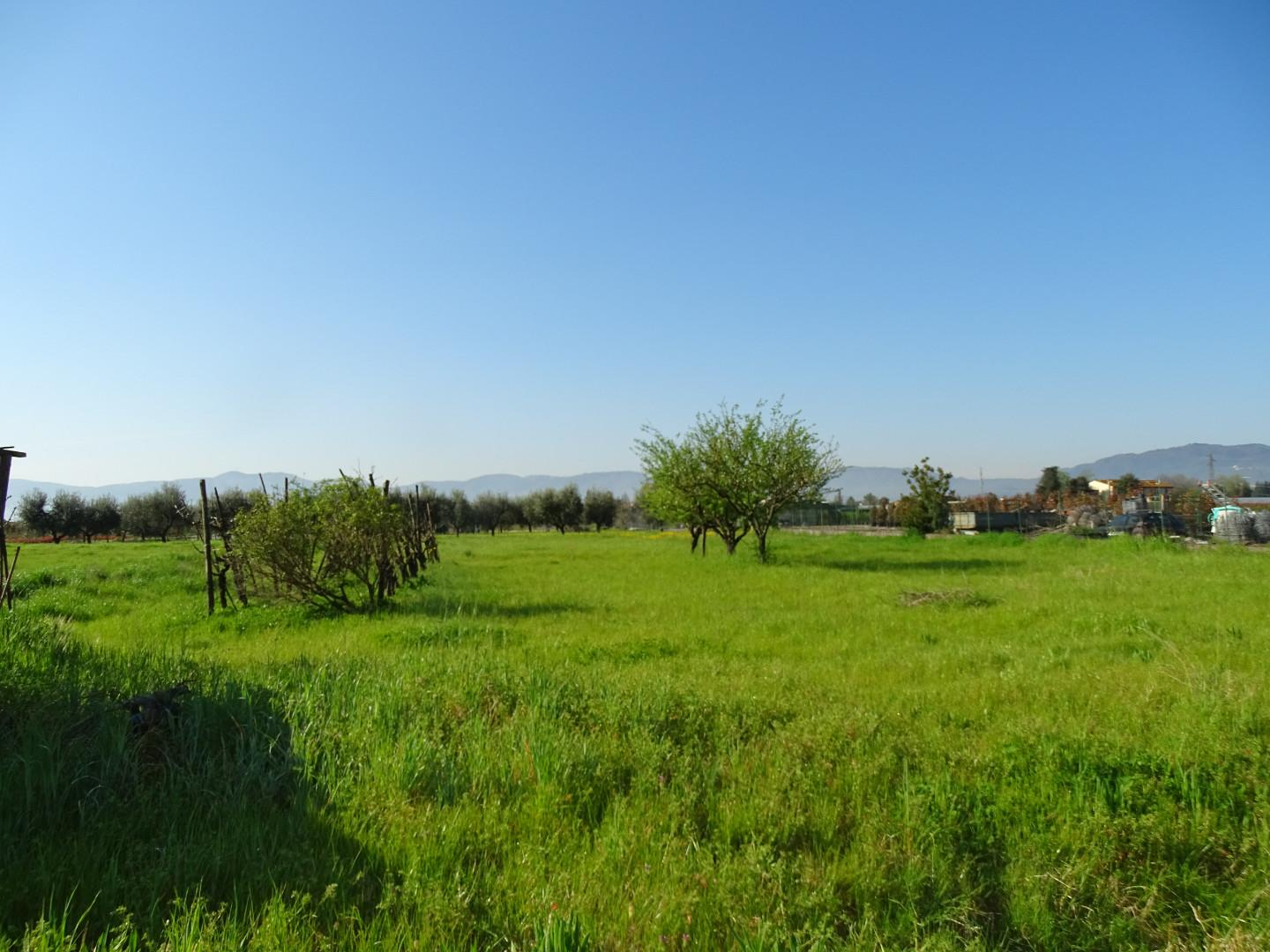 immagine annuncio 4 di 6
