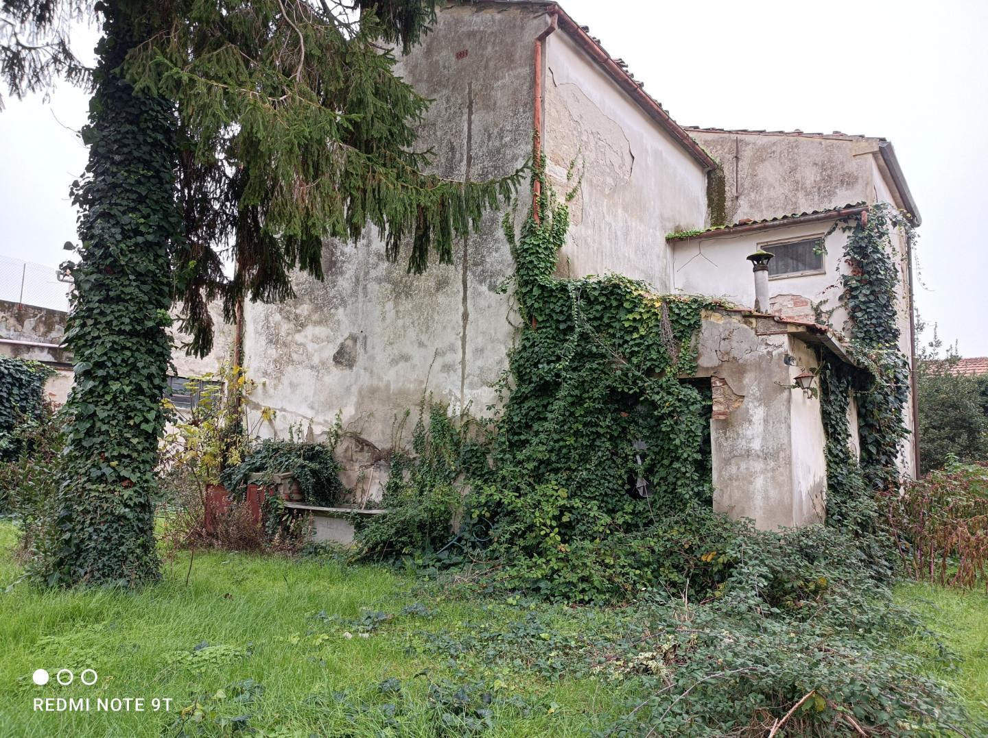 immagine annuncio 3 di 8