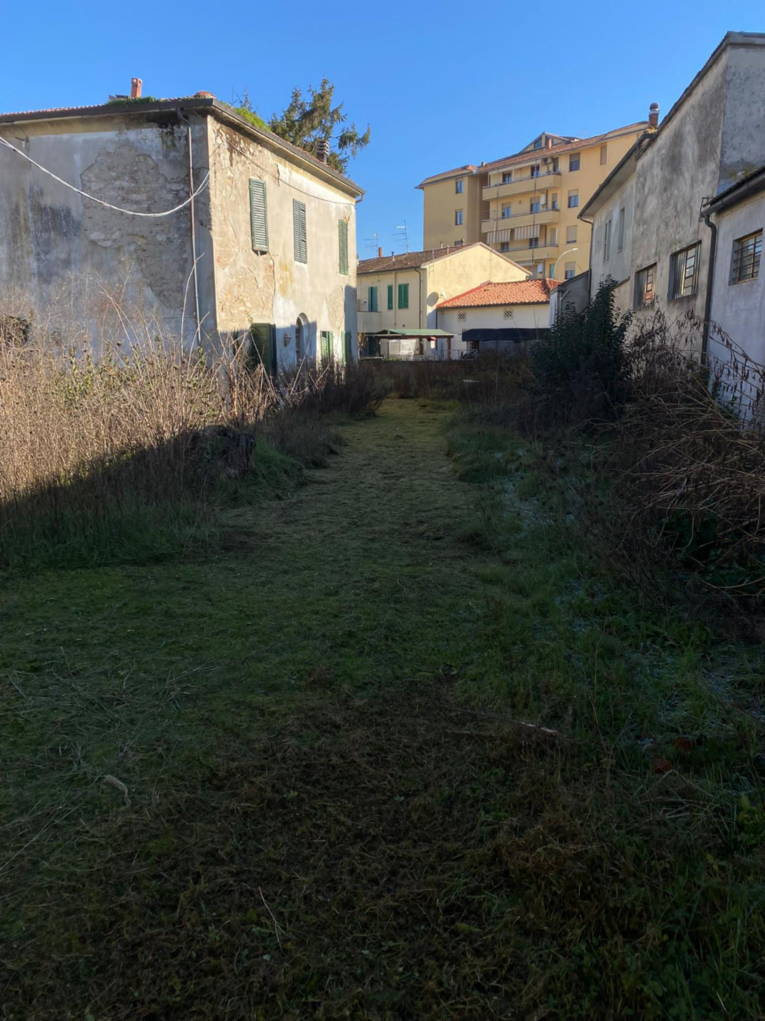 immagine annuncio 7 di 8