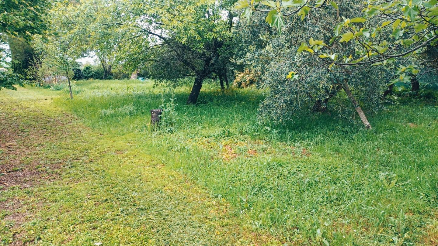 immagine annuncio 1 di 9