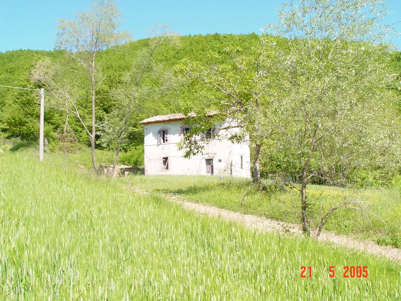 immagine annuncio 3 di 10