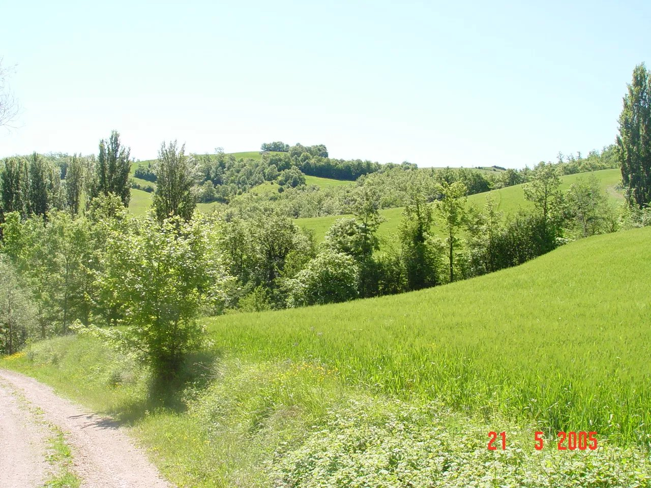 immagine annuncio 7 di 10