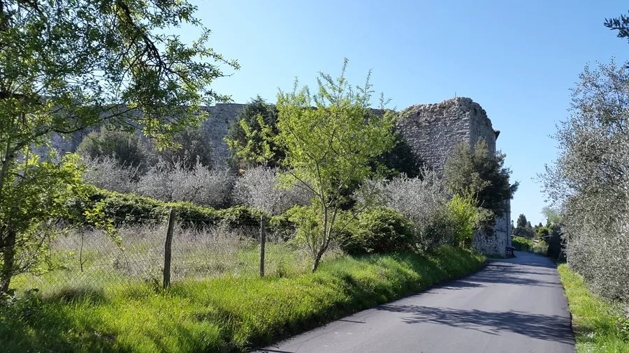 immagine annuncio 1 di 10
