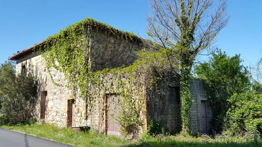 immagine annuncio 4 di 10