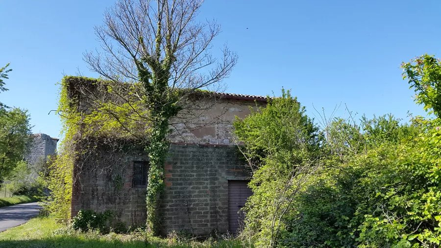 immagine annuncio 5 di 10