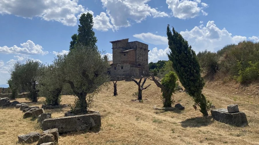 immagine annuncio 4 di 10