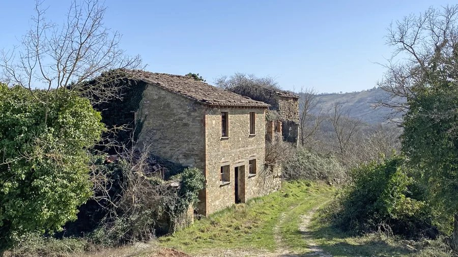 immagine annuncio 2 di 10