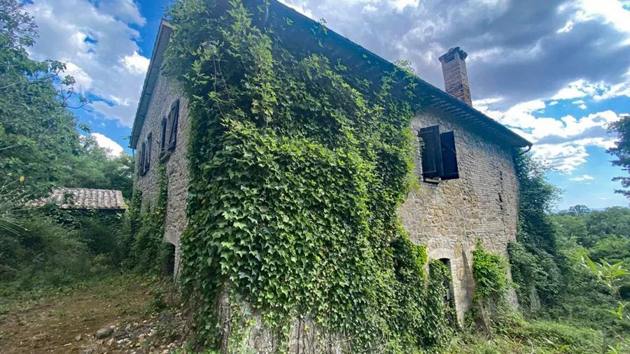 immagine annuncio 5 di 10