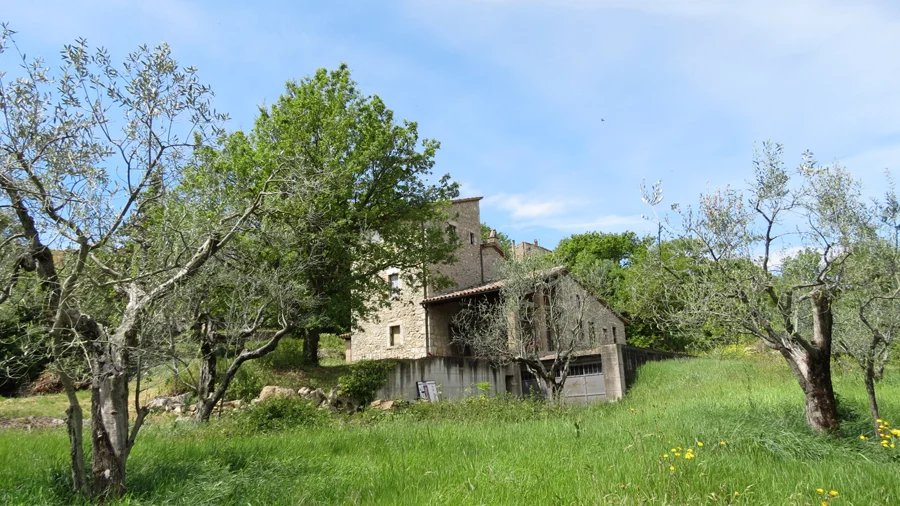 immagine annuncio 6 di 10
