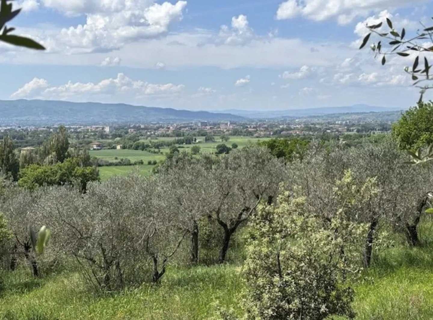 immagine annuncio 1 di 6