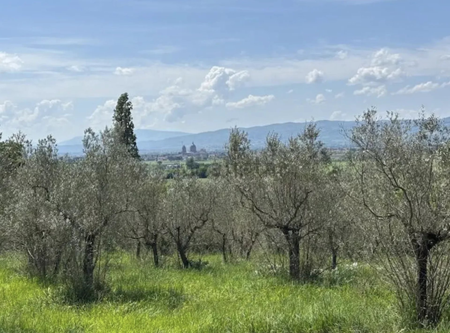immagine annuncio 5 di 6