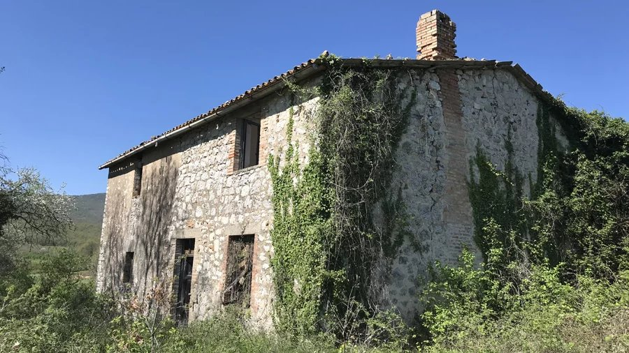 immagine annuncio 3 di 10