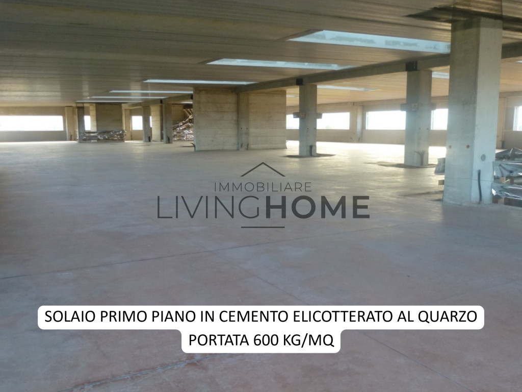 immagine annuncio 5 di 6