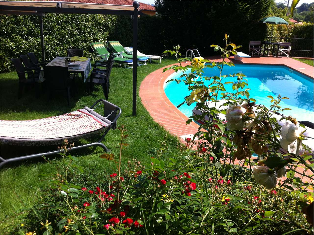immagine annuncio 1 di 10