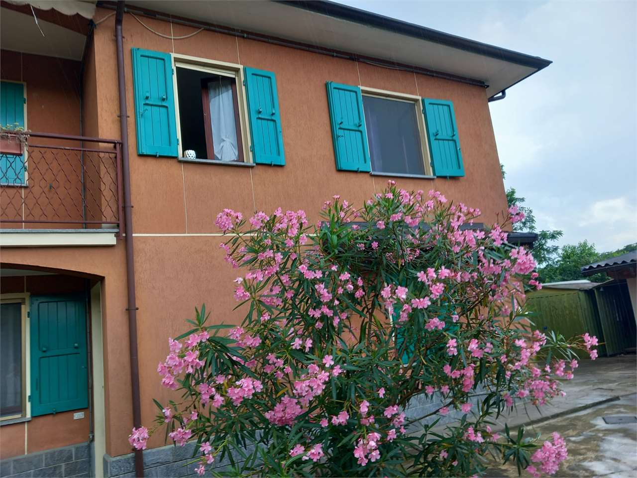 immagine annuncio 1 di 10