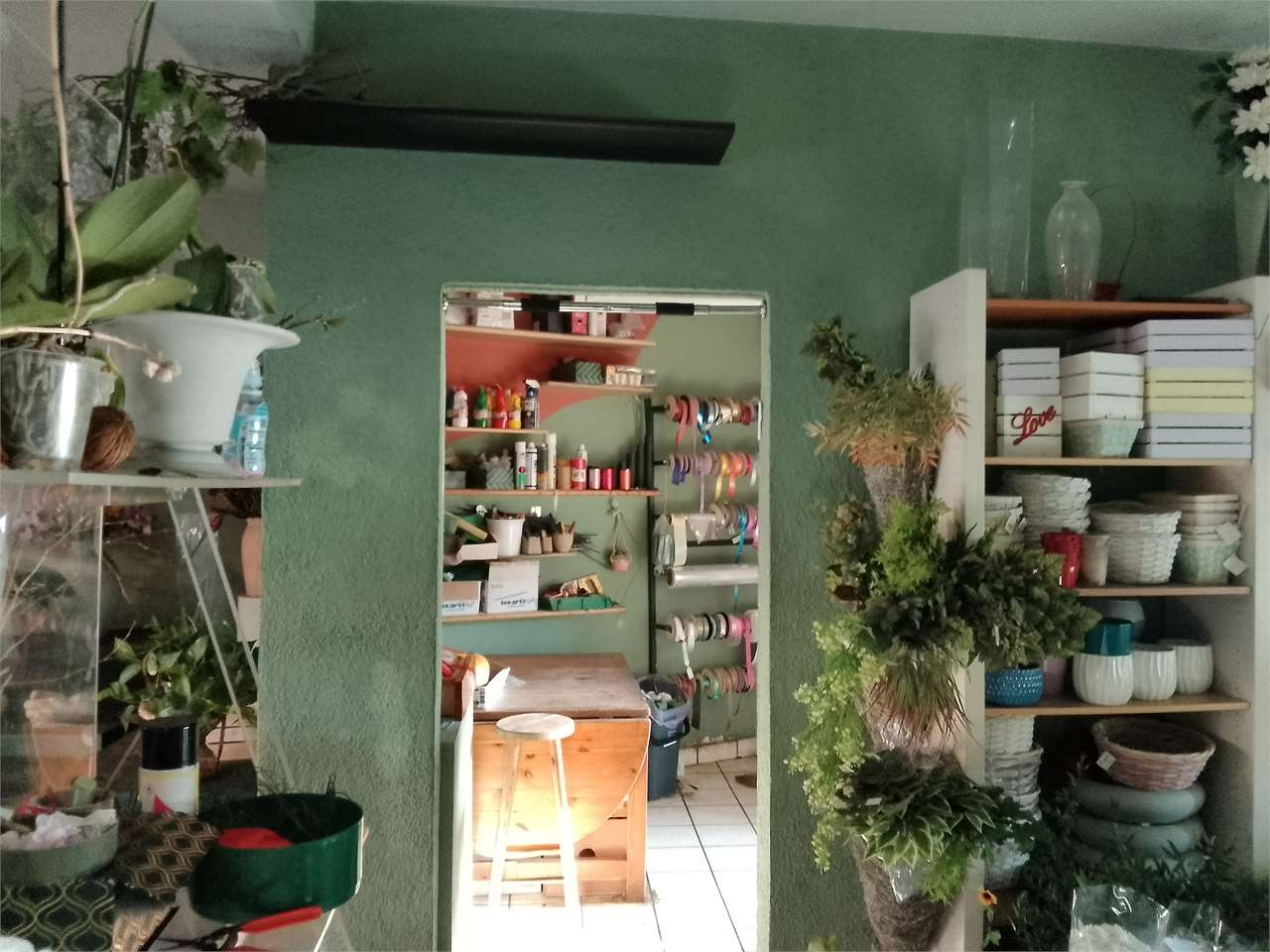immagine annuncio 3 di 6