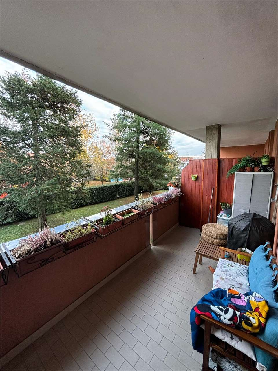 immagine annuncio 3 di 10