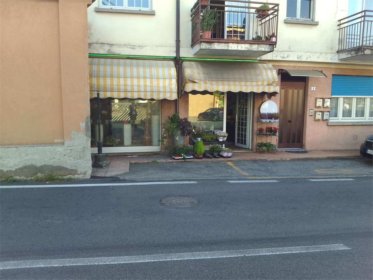 immagine annuncio 5 di 6