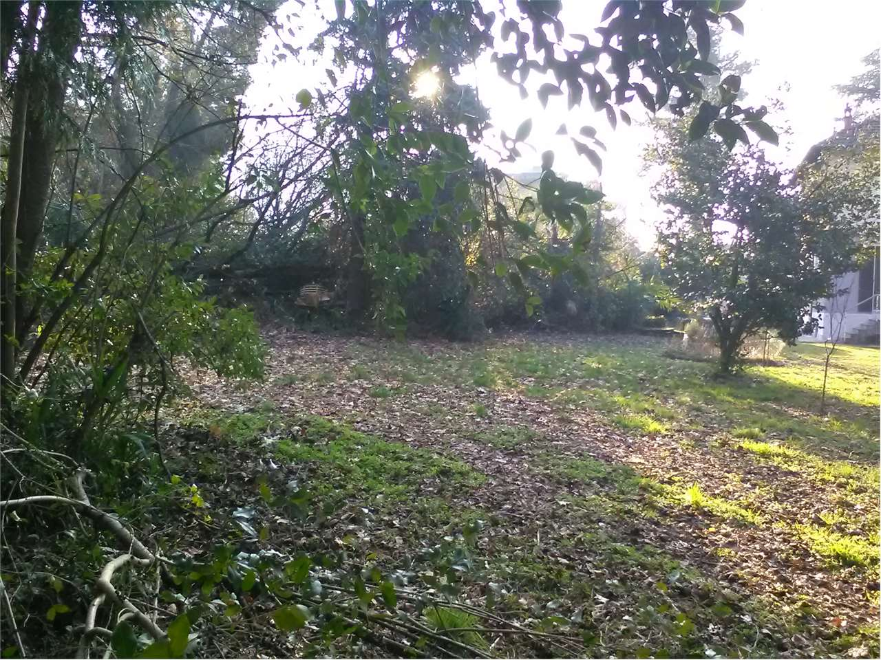 immagine annuncio 1 di 2