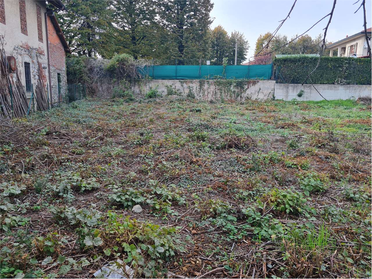 immagine annuncio 4 di 9