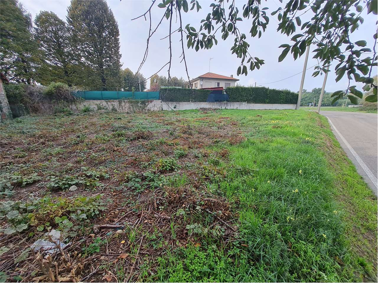 immagine annuncio 8 di 9