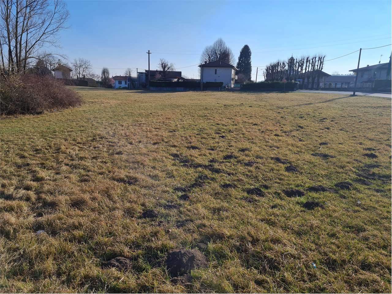 immagine annuncio 1 di 7