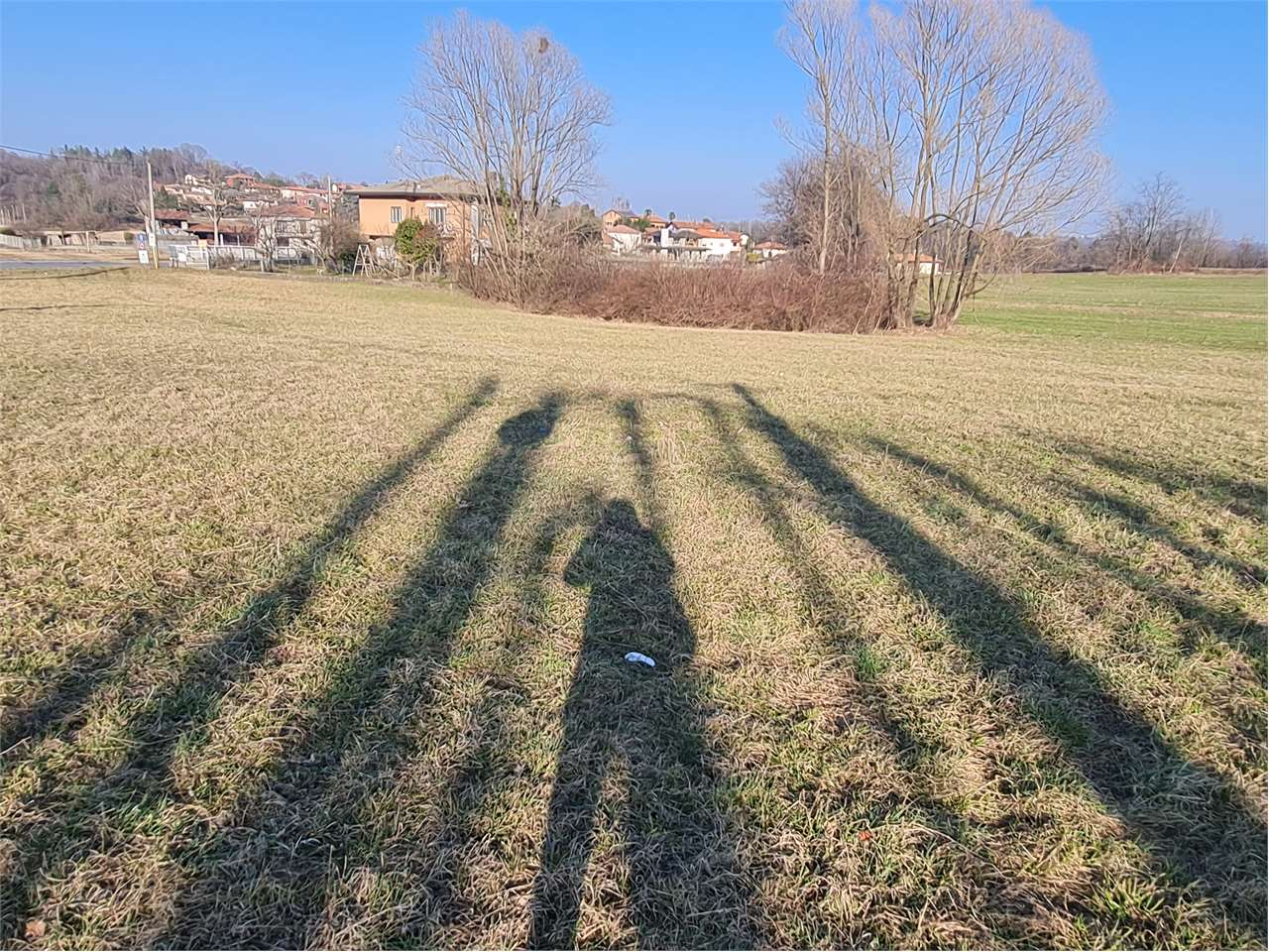 immagine annuncio 2 di 7