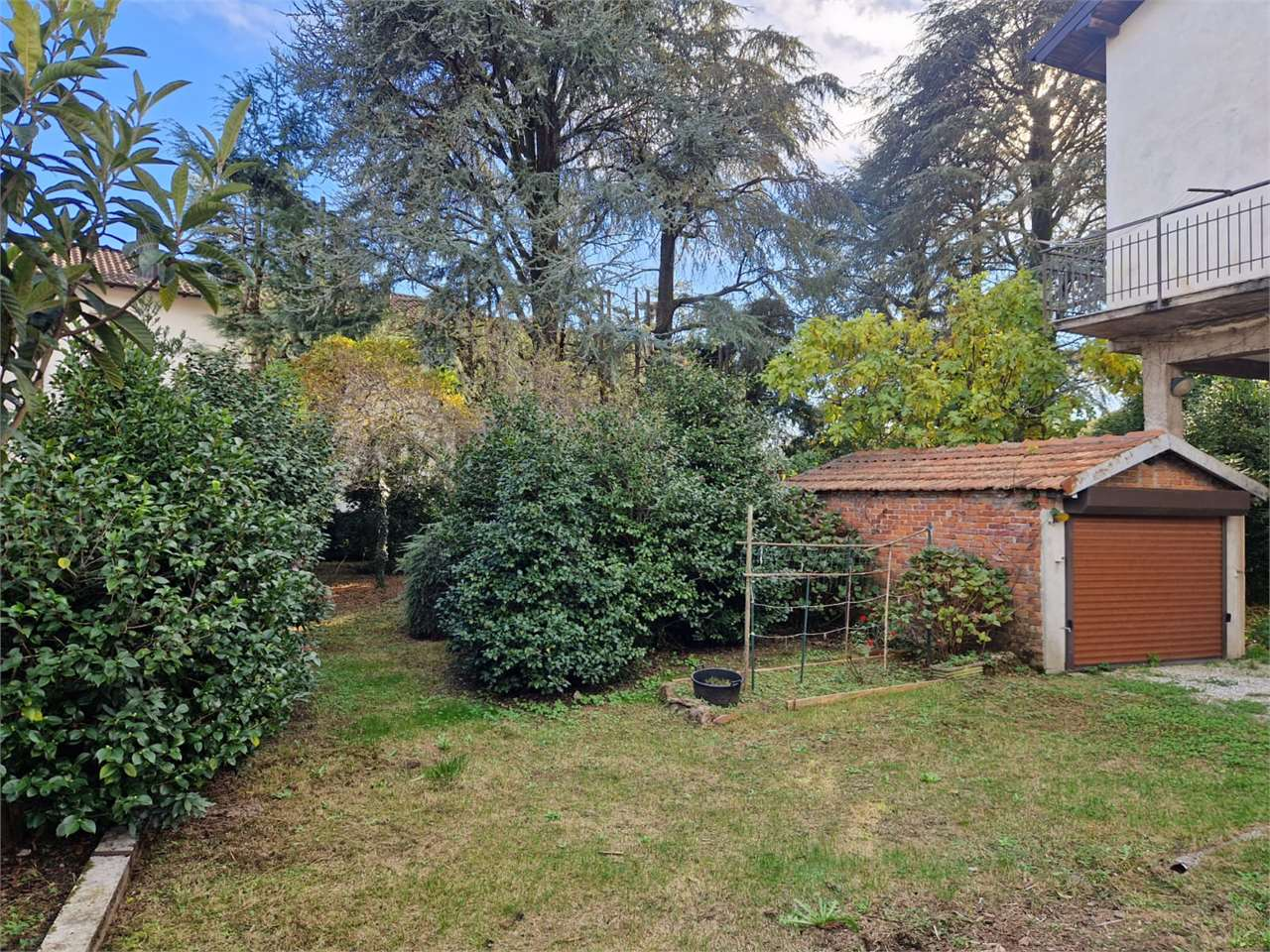 immagine annuncio 5 di 10