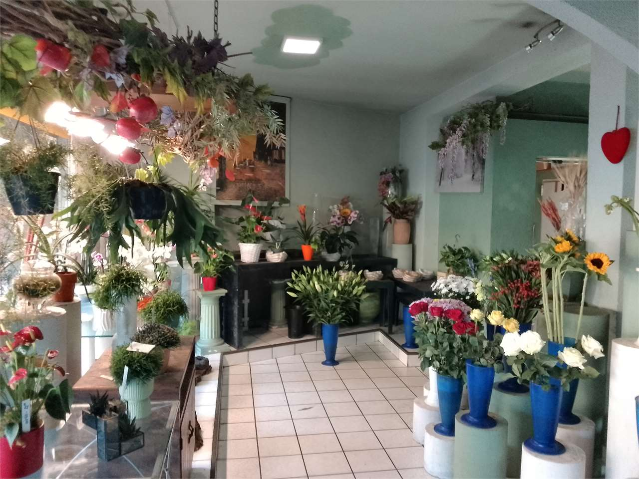 immagine annuncio 1 di 6