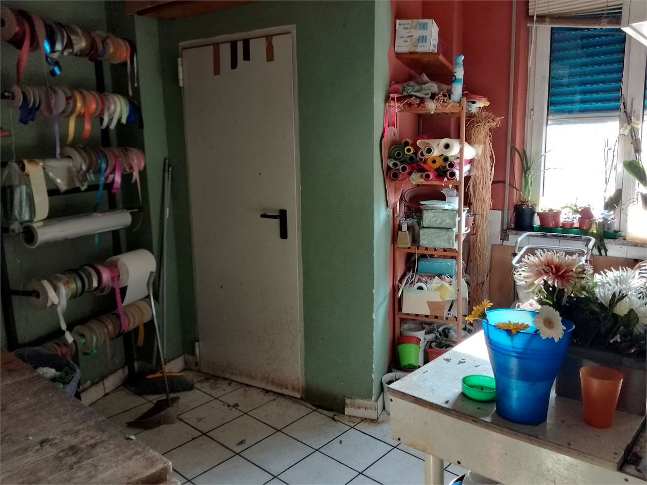 immagine annuncio 5 di 6