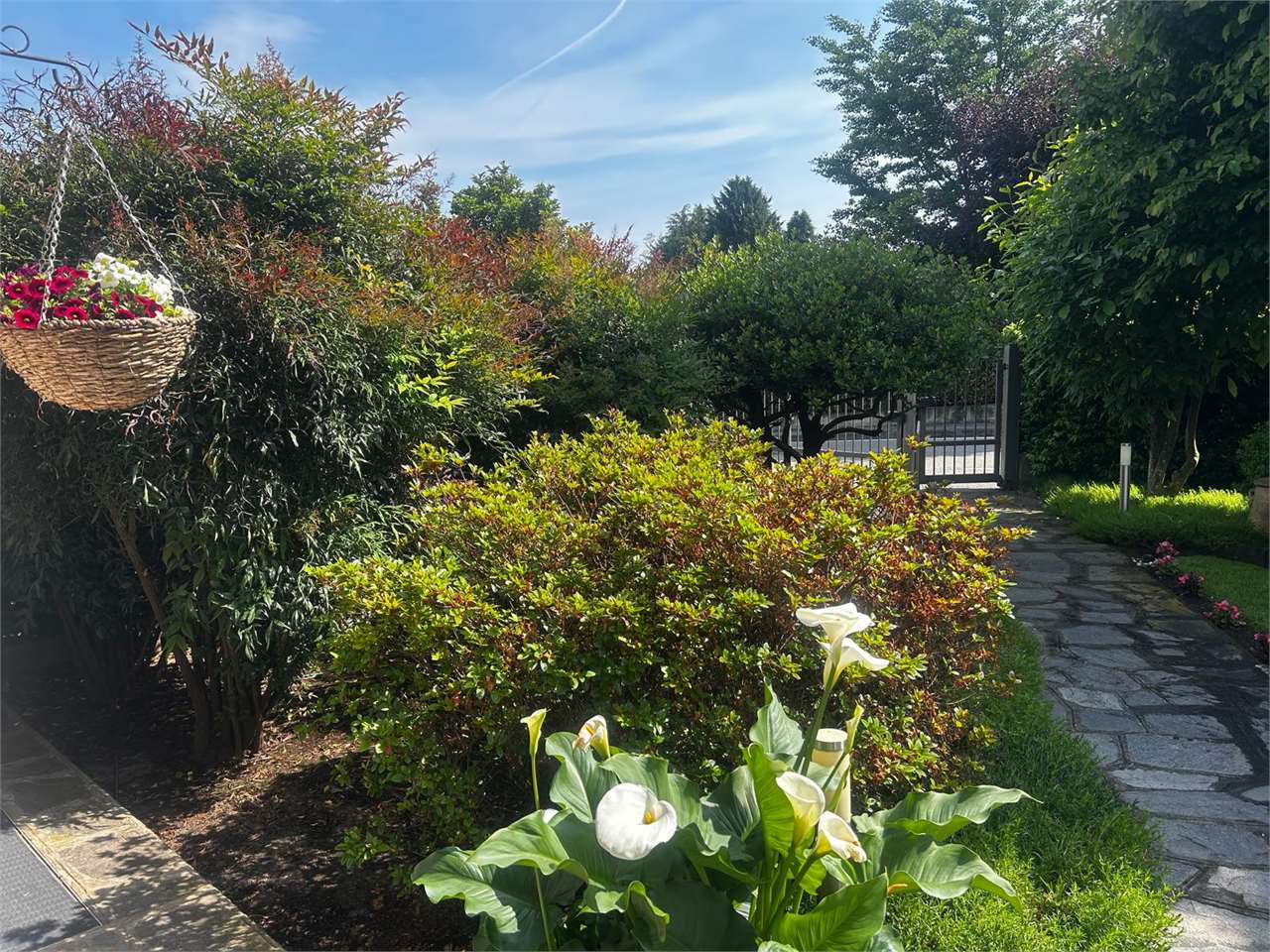 immagine annuncio 6 di 10