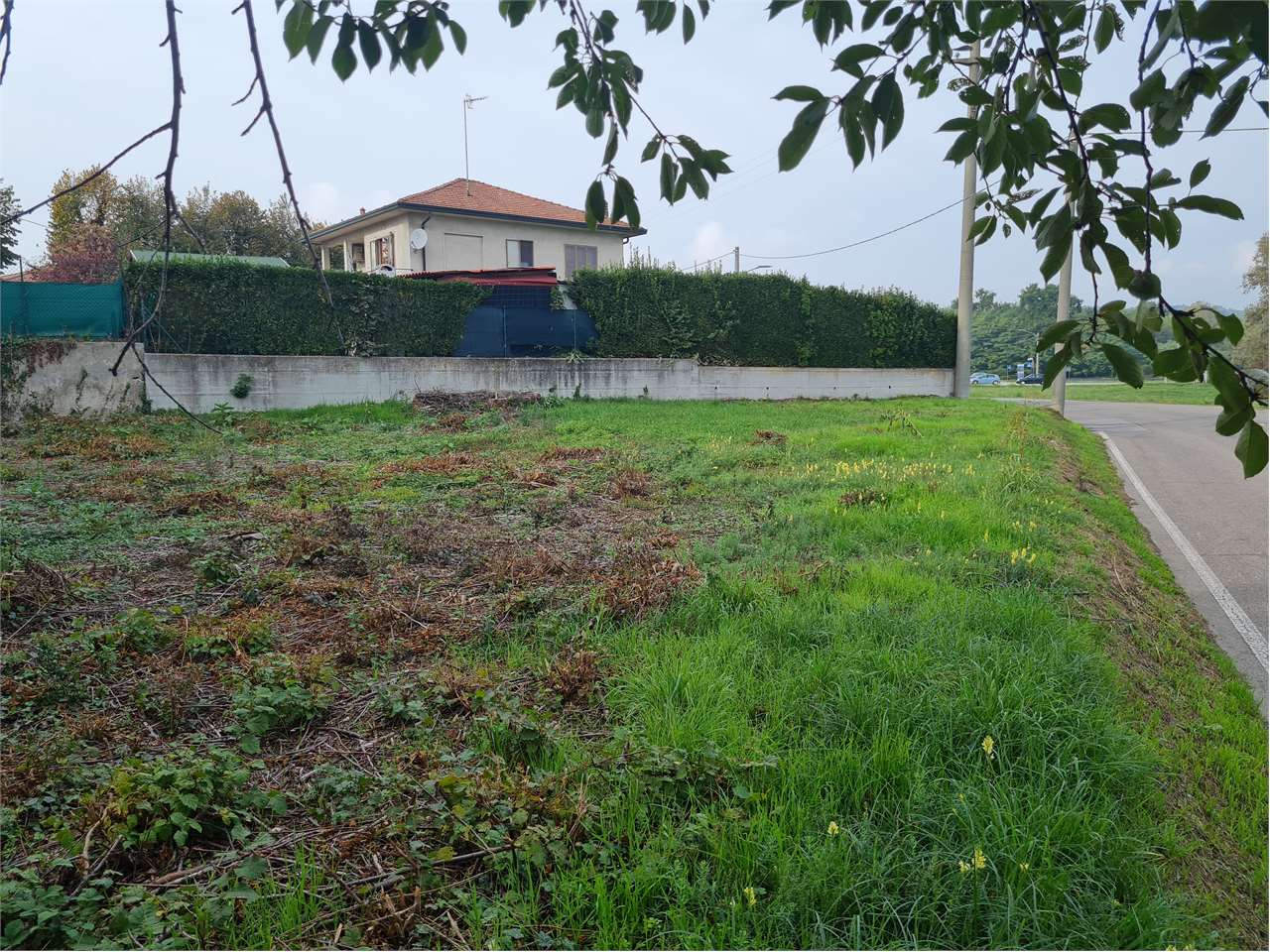 immagine annuncio 5 di 9