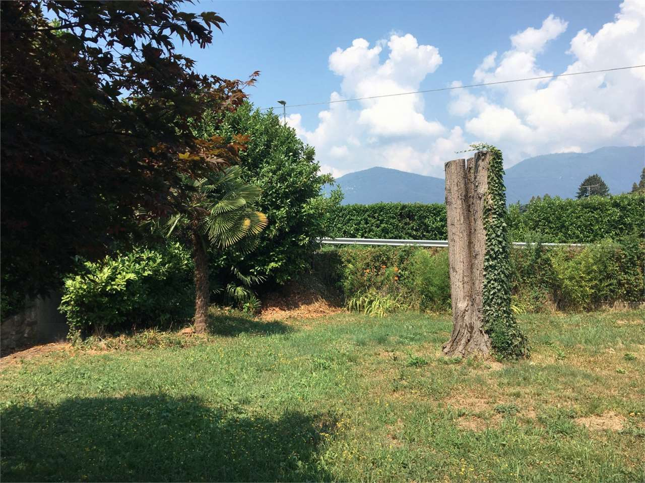 immagine annuncio 2 di 10