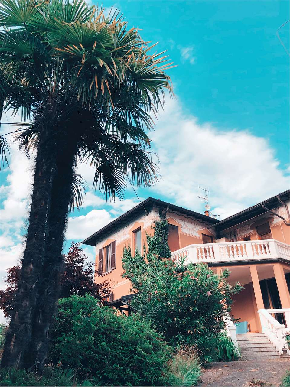 immagine annuncio 7 di 10