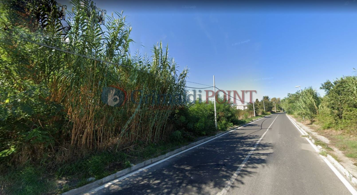 immagine annuncio 1 di 2
