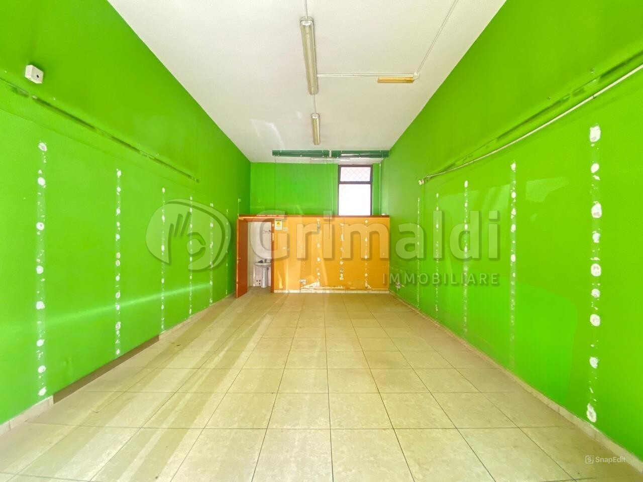 immagine annuncio 3 di 8